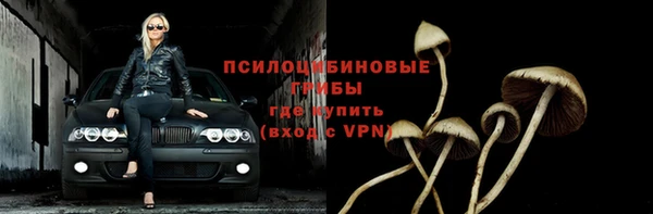 jwh Богородицк