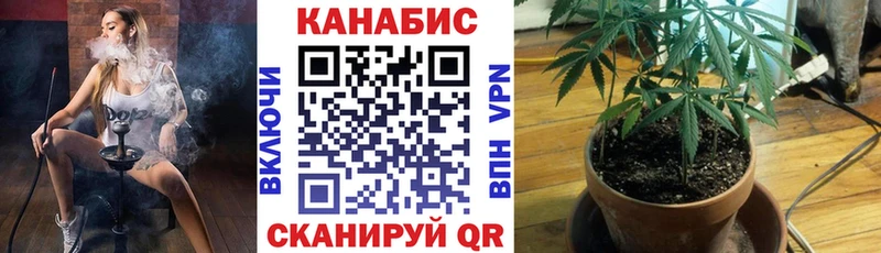 сколько стоит  shop клад  Шишки марихуана THC 21%  Няндома 